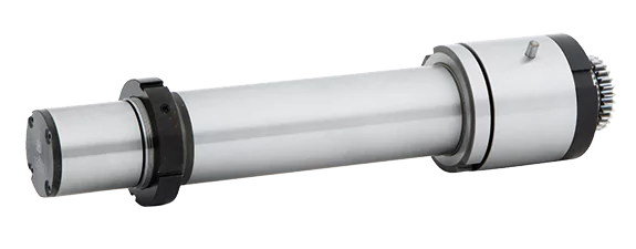 Aufnahmedorne